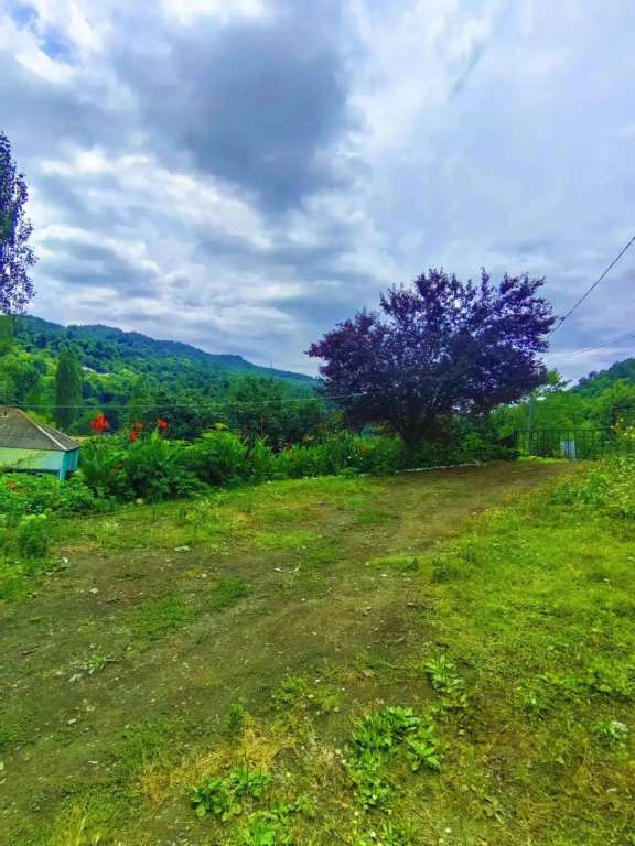 Lerik Hamarmeşə, Lerik, Azərbaycan günlük kirayə Həyət evi / Villa 60 AZN-a 2 otaqlı